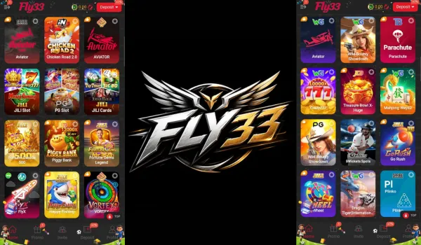 fly33 game
