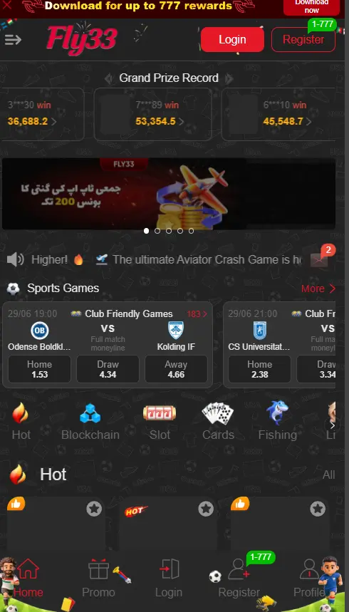 fly33 game
